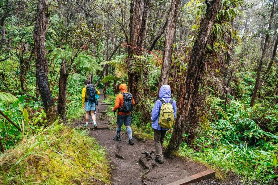 Big Island: Hawai'i Volcanoes National Park Guided Hike - Should you book this guided hike?