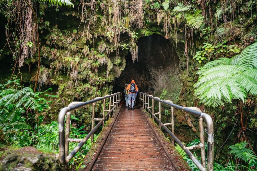 Big Island: Hawai'i Volcanoes National Park Guided Hike - Caldera walls and volcanic heat: learning without getting lost