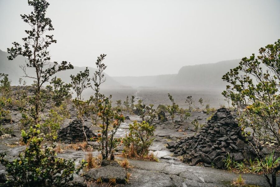 Big Island: Hawai'i Volcanoes National Park Guided Hike - Thurston Lava Tube: the highlight that changes your perspective