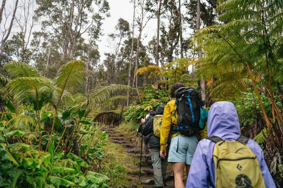 Big Island: Hawai'i Volcanoes National Park Guided Hike - Kilauea Iki Crater: the best part is walking the edge