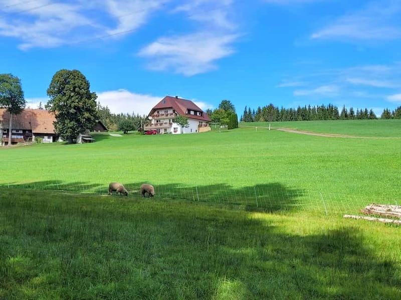 Black Forest: Ravenna Gorge Hike, Self-Guided - Starting in Hinterzarten Station: the easiest way to begin