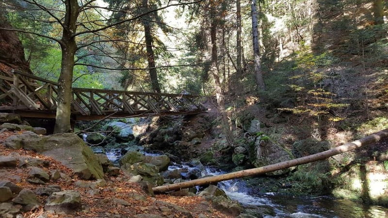 Black Forest: Ravenna Gorge Hike, Self-Guided - The mills valley storyline: rope to spoons