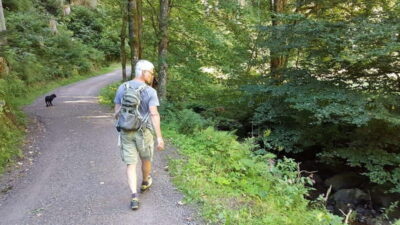 Black Forest: Ravenna Gorge Hike, Self-Guided - Ravenna Gorge: streams, waterfalls, and that classic Black Forest mood