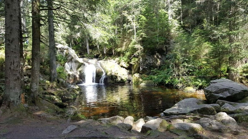 Black Forest: Ravenna Gorge Hike, Self-Guided - How long it really takes (and when to go)