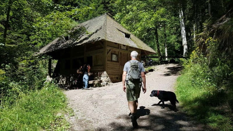 Black Forest: Ravenna Gorge Hike, Self-Guided - The 2gotours app: the real reason a self-guided route feels doable