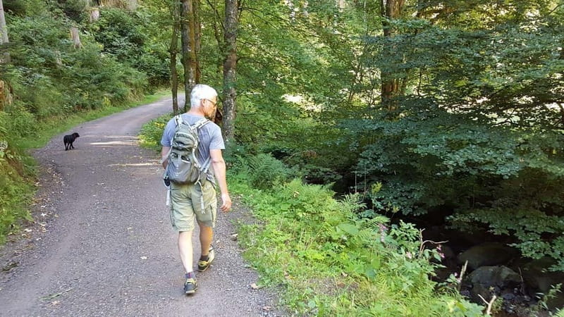 Black Forest: Ravenna Gorge Hike, Self-Guided - Ravenna Gorge: streams, waterfalls, and that classic Black Forest mood