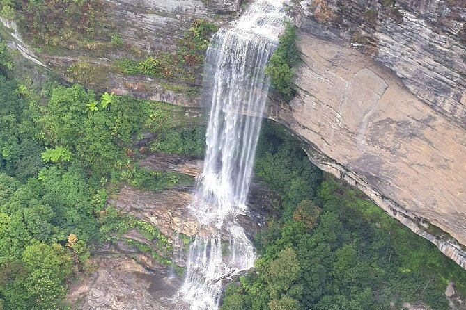 Blue Mountains Express includes Three Sisters Hiking Option - A day trip built for choice, not a rigid checklist