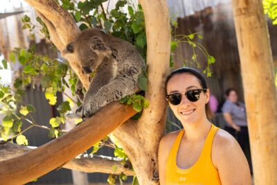 Blue Mountains Express includes Three Sisters Hiking Option - Morning momentum: Central Station to Sydney Zoo