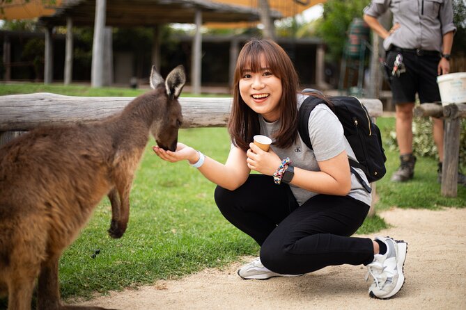 Blue Mountains Express includes Three Sisters Hiking Option - The guide and the pacing: what makes or breaks a full day