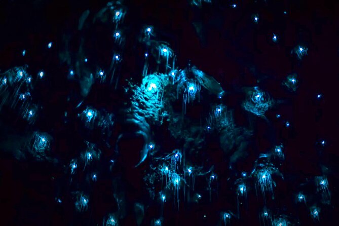 Blue Mountains Hiking Glow worms Cave Wildlife Spotlighting Night Adventure - Cave overhang waterfall: where thousands of glow worms steal the show