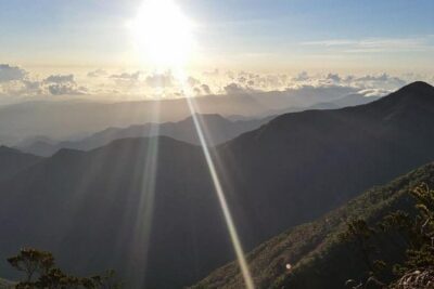 Blue Mountains Peak Hike - The Path to Blue Mountain Peak: The Hike Is Long and Mostly Uphill