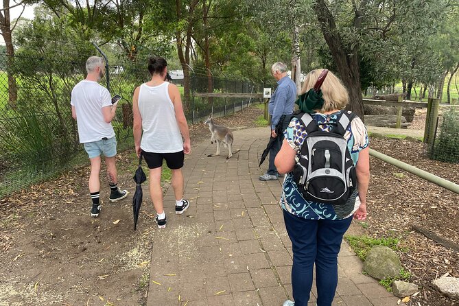 Blue Mountains Wildlife Full-Day Sights and Hiking from Sydney - Evans Lookout to Govetts Leap: The Clifftop Track Hike You Can Actually Prepare For