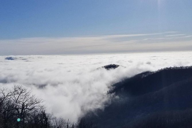 Blue Ridge Parkway Waterfalls Hiking Tour from Asheville - Group Size and Pace: Why Up to 7 Hikers Matters
