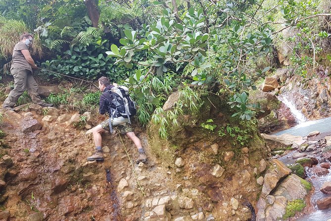 Boiling Lake Hike in Dominica - Natural hot pools and springs: why this stop matters
