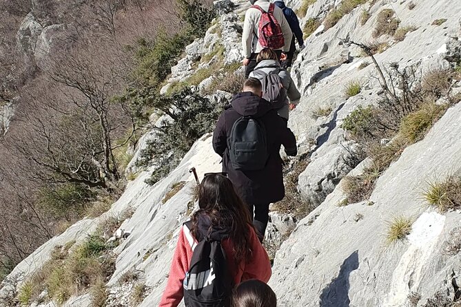 Bovilla lake Hiking Experience - Transportation and comfort: private car plus a driver who keeps things sane