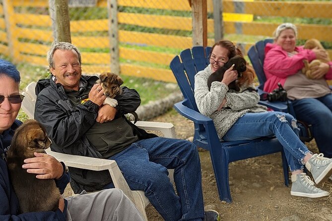 Bridge, Puppies, and Summit Triple Combo in Skagway - The Sled Dog Camp: Puppy Love at Tutshi Sleddog Tours