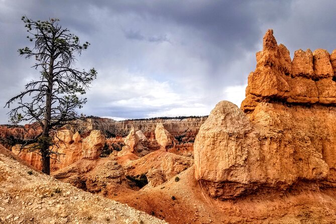 Bryce Canyon Hiking Challenge - Price and value: $120 plus a possible $20 park fee