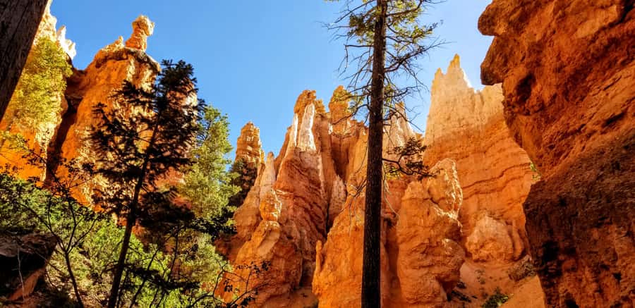 Bryce Canyon National Park Hiking Experience - Hoodoos and Slot Canyons: Walking Through Geology, Not Around It
