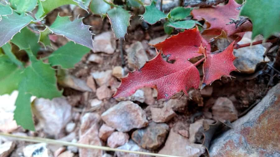 Bryce Canyon National Park Hiking Experience - Queen’s Garden and Mossy Cave: Two Stops That Add Variety