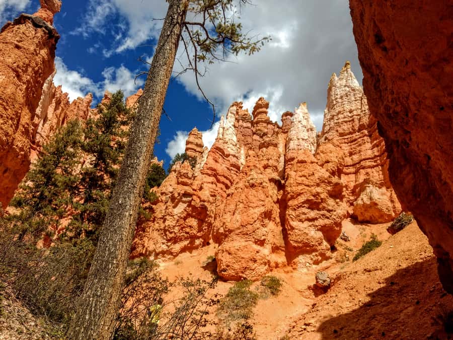 Bryce Canyon National Park Hiking Experience - Guides and Stories: Oscar, Kevin, Mabry, and Lesley’s Role