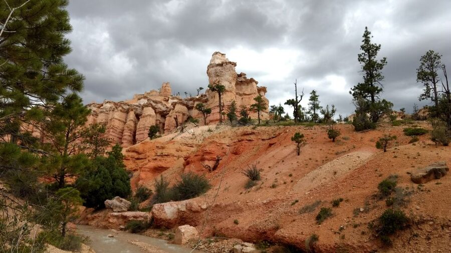 Bryce Canyon National Park Hiking Experience - Getting There: Meeting Point Tips That Save Time