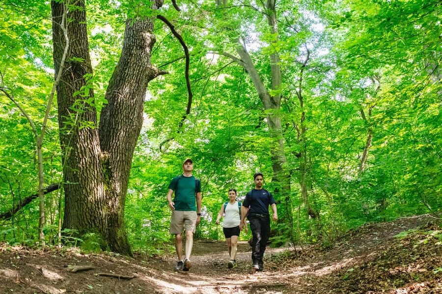 Budapest: Buda Hills Guided Hiking Tour with Optional Lunch - Quick take: what stands out on this Budapest hiking day