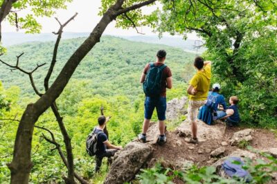 Budapest: Buda Hills Guided Hiking Tour with Optional Lunch - Normafa slopes: your first big Budapest view without the crowd stress