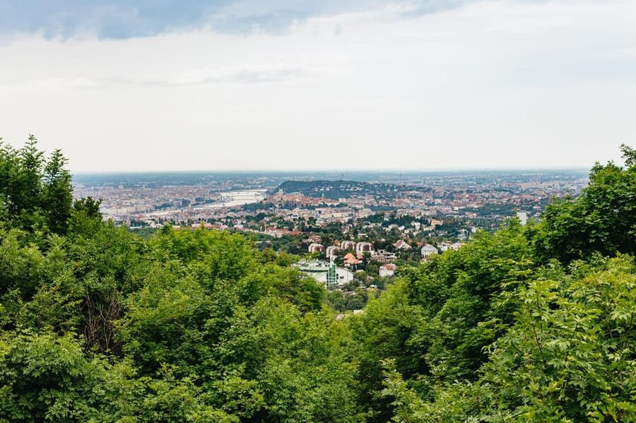 Budapest: Buda Hills Guided Hiking Tour with Optional Lunch - Who should book this hike in Budapest