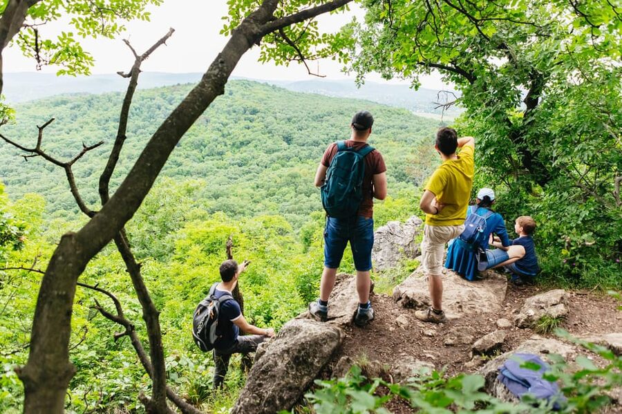 Budapest: Buda Hills Guided Hiking Tour with Optional Lunch - Normafa slopes: your first big Budapest view without the crowd stress