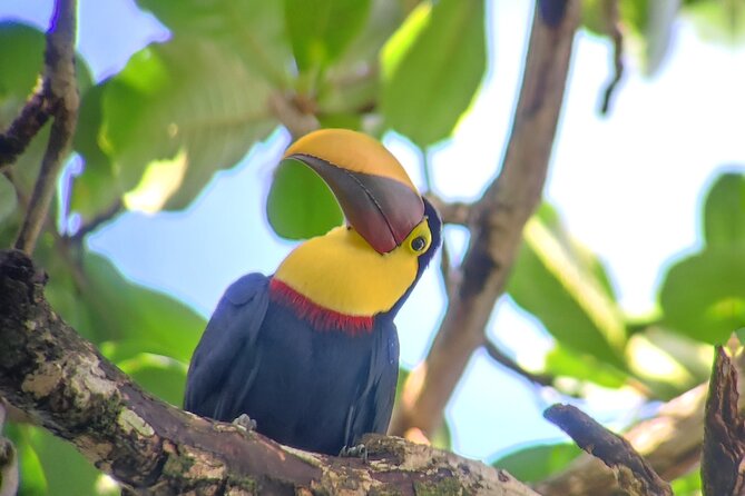 Cahuita National Park Hiking - Meeting at Parque Nacional Cahuita: Check-In and the Park Donation