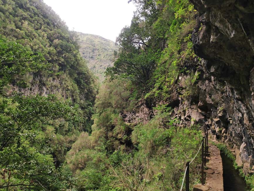 Caldeirão Verde: Levada Caldeirao Verde Hiking Transfer - Who should book this hike (and who should skip it)
