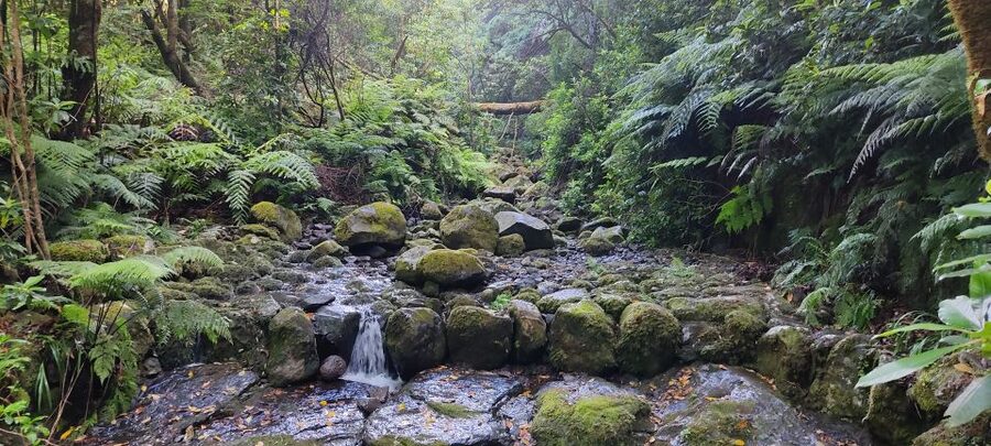 Caldeirão Verde: Queimadas PR9 Transfer and Self-Guided Hike - Packing list that works when Madeira turns wet
