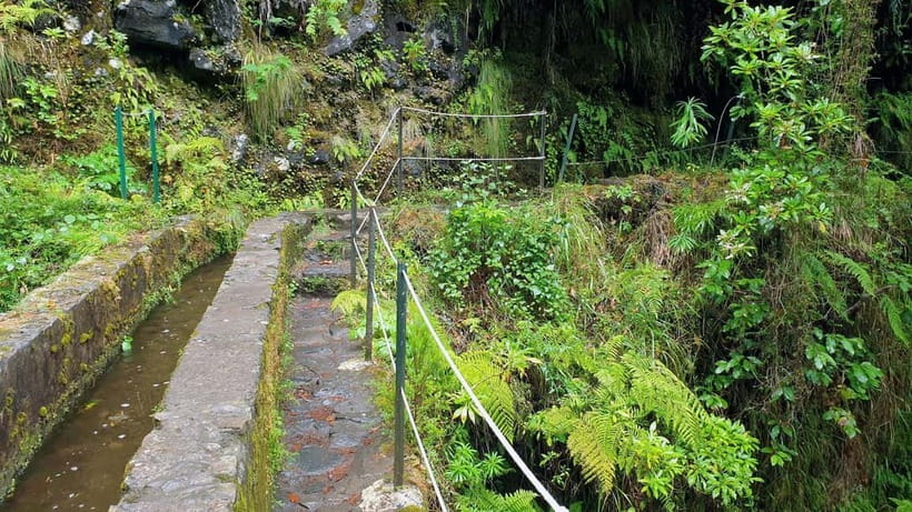 Caldeirão Verde: Queimadas PR9 Transfer and Self-Guided Hike - Price and value: is $38 a good deal?