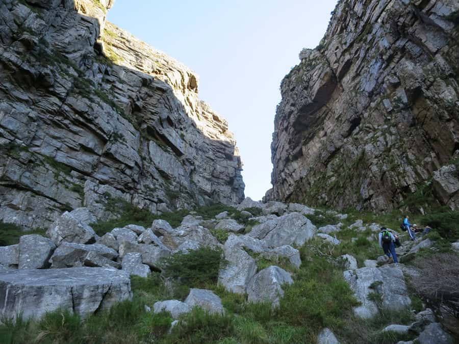 Cape Town: 3-Hour Table Mountain Hike via Platteklip Gorge - Platteklip Gorge: why this is the shortest route (and the hardest part)