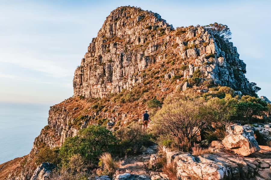 Cape Town: Guided Lion's Head Hike at Sunrise or Sunset - The summit moment: 360° views, coffee, and the best angles for photos