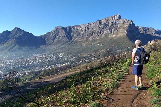 Cape Town: Lion's Head Hike - Logistics you’ll care about on the day