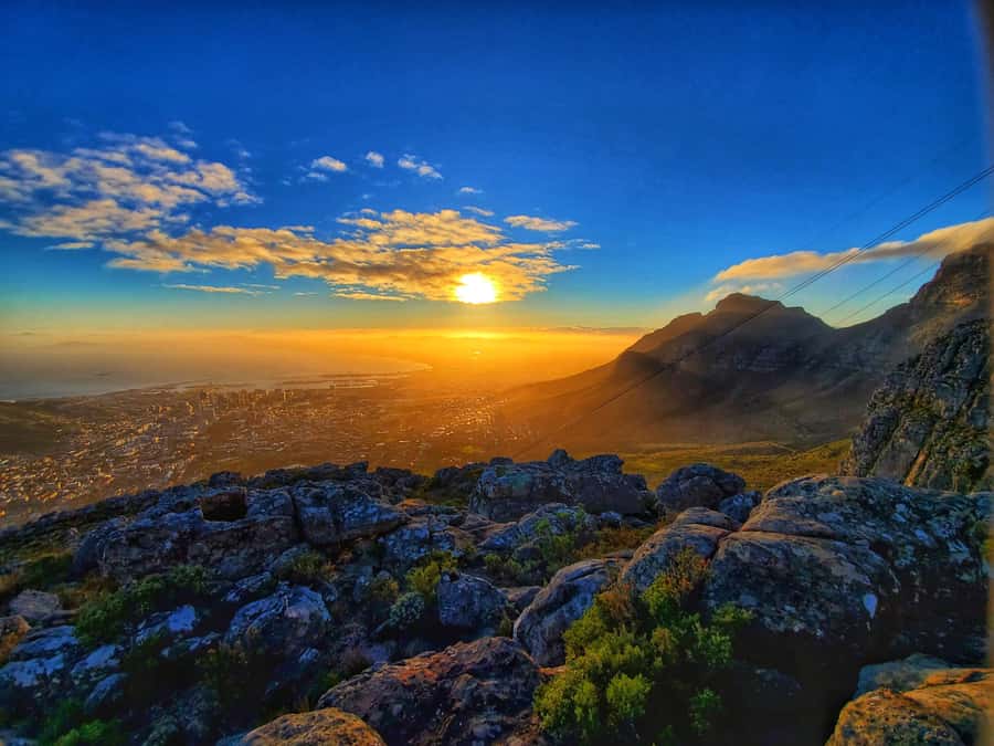 Cape Town: Lion's Head Sunrise or Sunset Guided Hike - What the 3-hour hike feels like on the ground