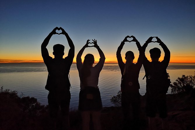 Cape Town: Lion's Head Sunset Hike - The guide experience: more than directions, a running commentary on place