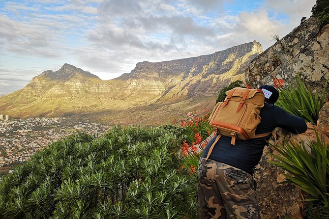 Cape Town: Lion's Head Sunset Hike - Price and value: what $94.90 buys (and what it doesn’t)