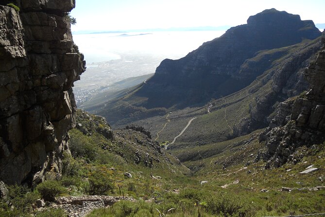 Cape Town: Platteklip Gorge Half-Day Hike on Table Mountain - Price and Logistics: Does $80.81 Feel Like Value?