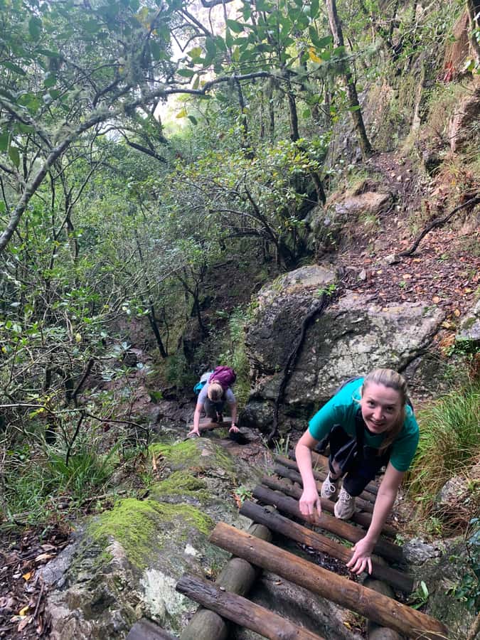 Cape Town: Skeleton Gorge and Kirstenbosch Gardens Hike - Key things that make this hike worth your time