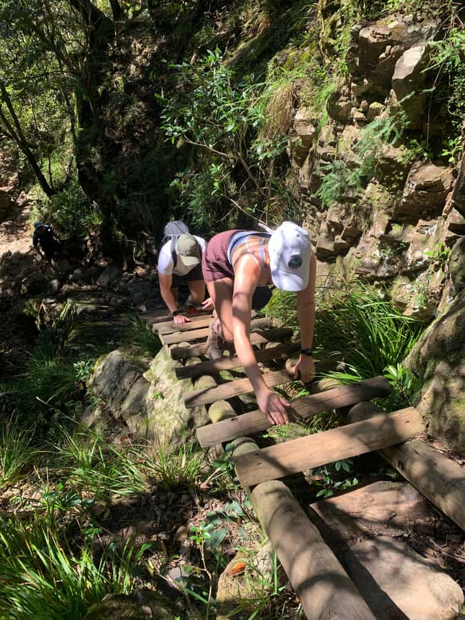 Cape Town: Skeleton Gorge and Kirstenbosch Gardens Hike - What to bring so the day stays comfortable