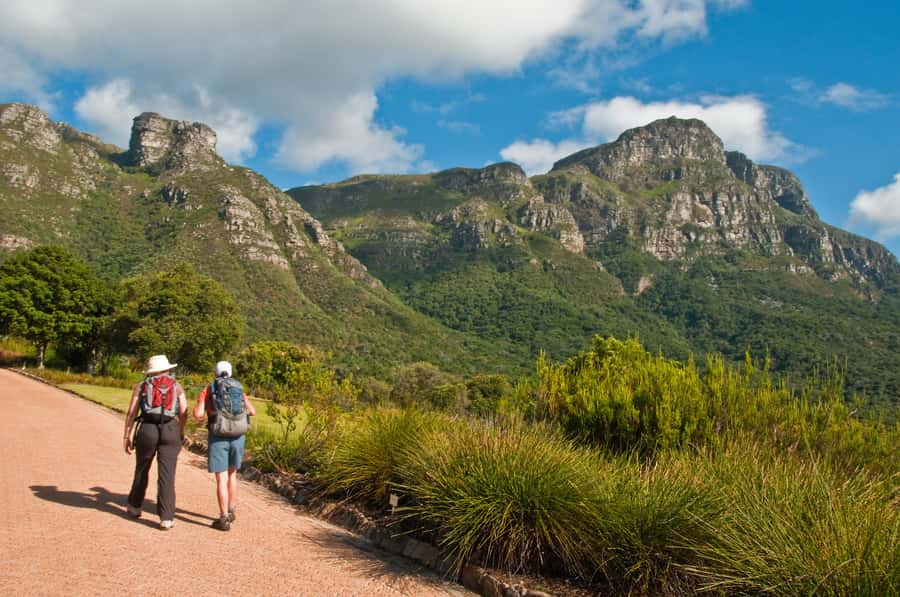 Cape Town: Skeleton Gorge and Kirstenbosch Gardens Hike - Price and value: what your $93 includes (and what it doesn’t)