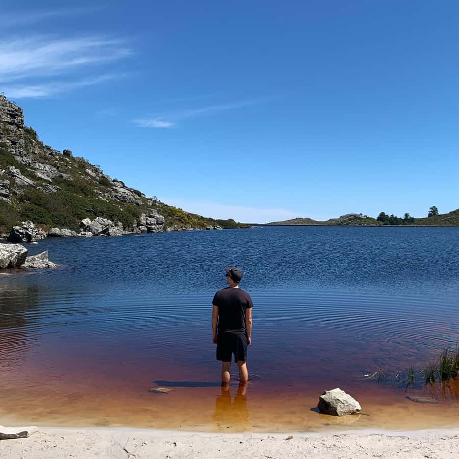 Cape Town: Skeleton Gorge and Kirstenbosch Gardens Hike - Where the best memories happen: plants, birds, and that gorge feel