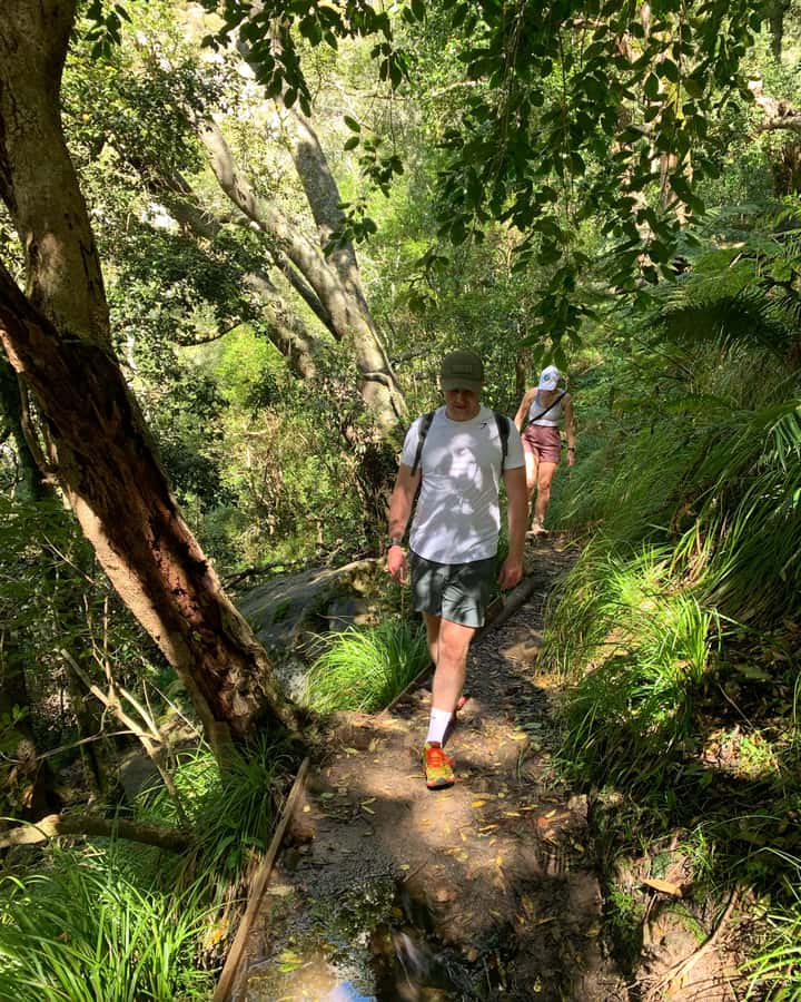 Cape Town: Skeleton Gorge and Kirstenbosch Gardens Hike - Your hike starts at Kirstenbosch: more than a pretty warm-up