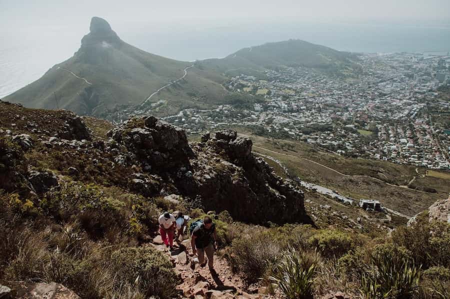 Cape Town: Table Mountain Hike with an Experienced Guide - Lion’s Head at sunrise or sunset: city views with a more personal vibe
