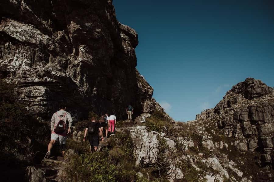 Cape Town: Table Mountain Hike with an Experienced Guide - Price and value: is $49 worth it?