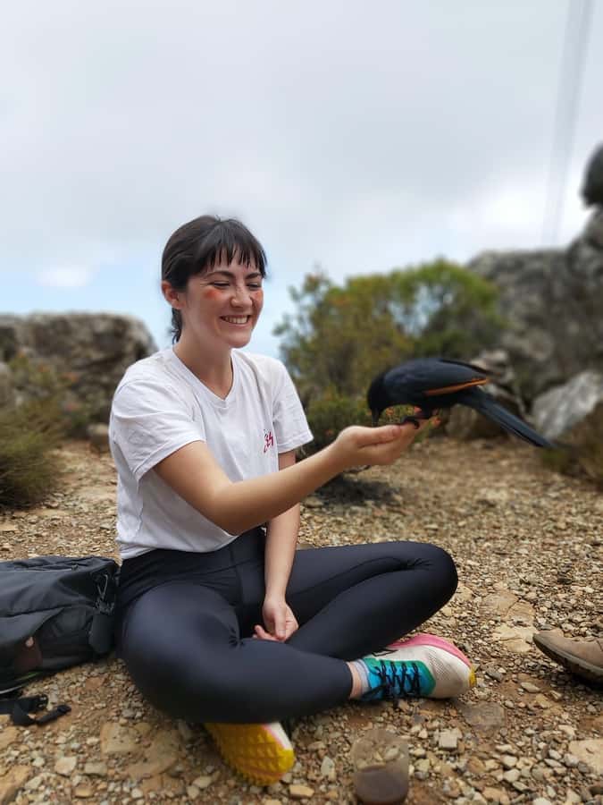 Cape Town: Table Mountain Hike with an Expert Guide - Trails and Routes: India Venster, Kasteelspoort, Skeleton Gorge, and Platteklip
