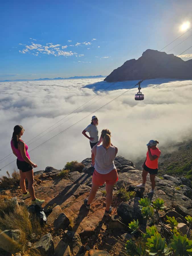 Cape Town: Table Mountain Hike with an Expert Guide - Cable Car Descent and Weather Plan: What Happens If Wind Cancels It