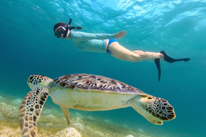 Cas Cay - Kayak Hike and Snorkel Adventure - Kayaking the Mangrove Lagoon to Cas Cay